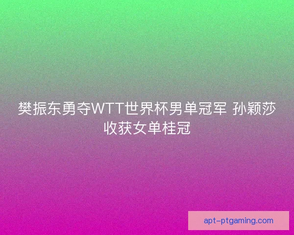 樊振东勇夺WTT世界杯男单冠军 孙颖莎收获女单桂冠